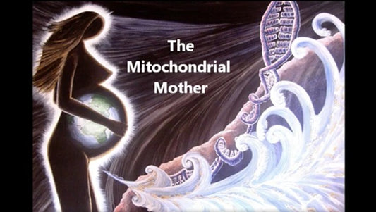 Mitochodrial Mother video 2012
