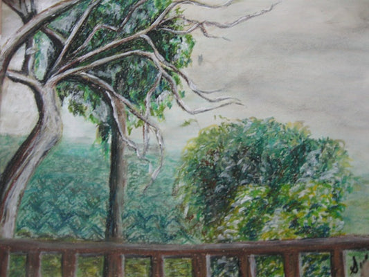 RAIN DANCE Pastel on Paper 10" x 15" 2009