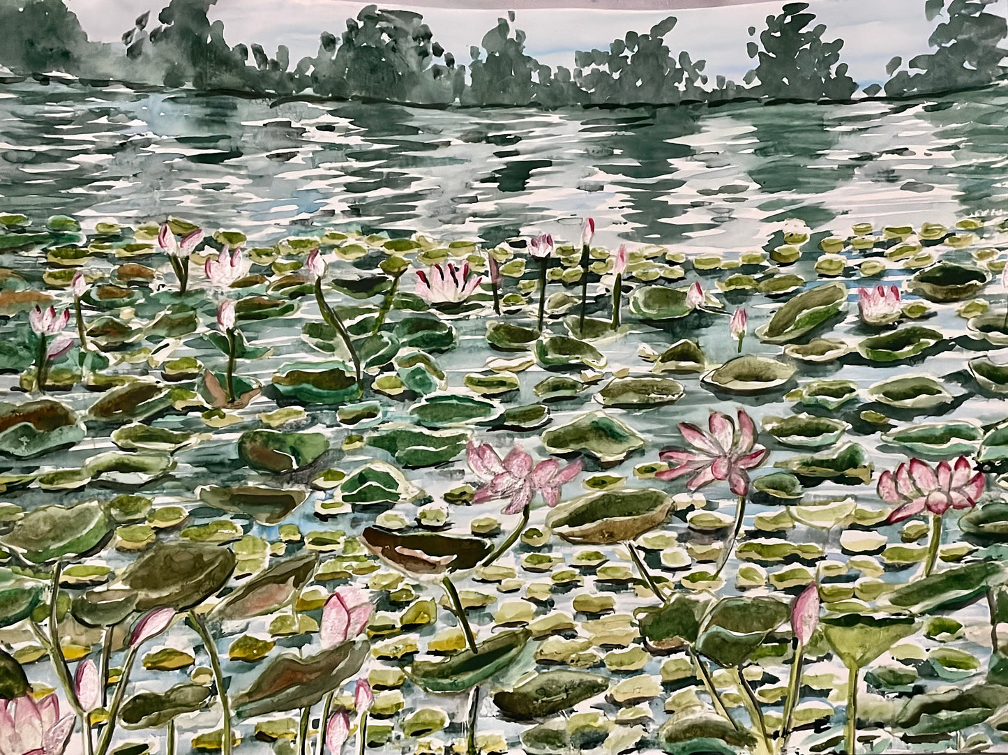 Lotus Pond