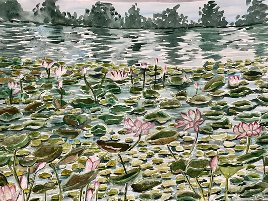 Lotus Pond