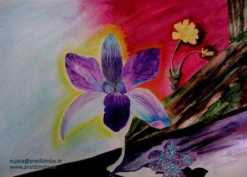 Rainbow Flowers