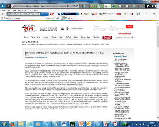 Indian Art Collector 2013